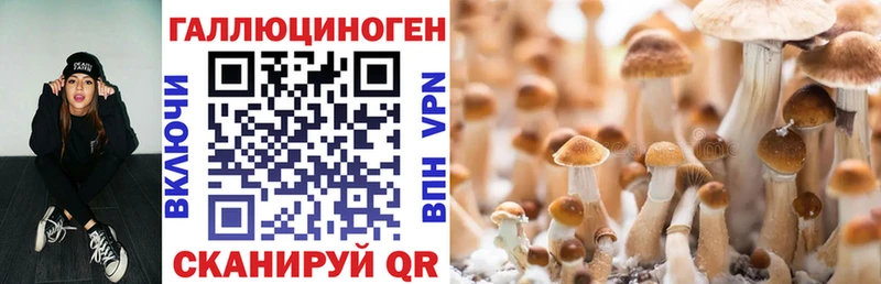 Галлюциногенные грибы мицелий  Азнакаево 